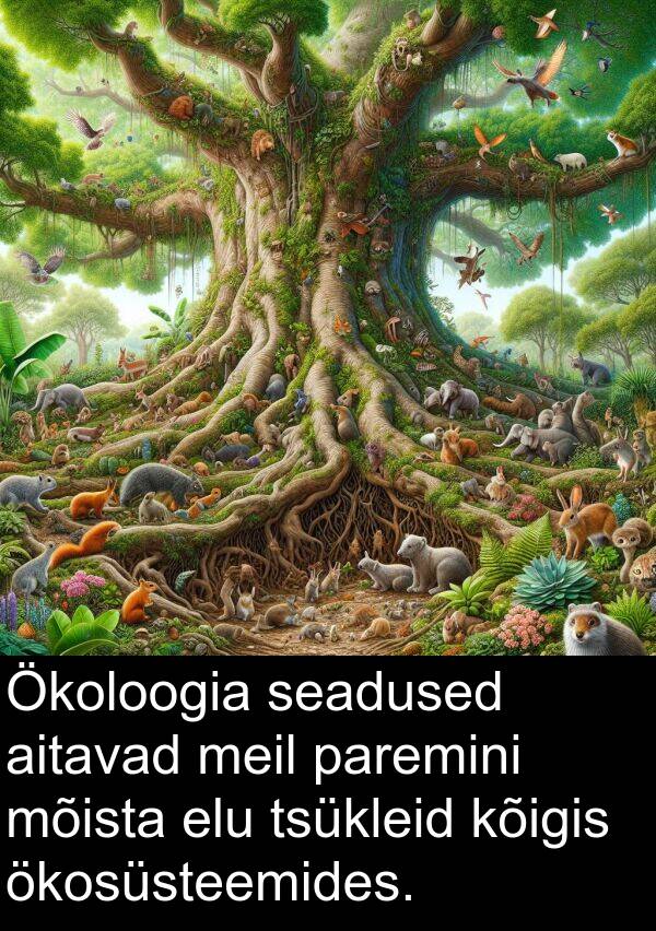 ökosüsteemides: Ökoloogia seadused aitavad meil paremini mõista elu tsükleid kõigis ökosüsteemides.