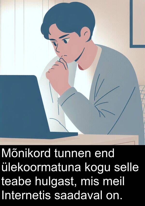hulgast: Mõnikord tunnen end ülekoormatuna kogu selle teabe hulgast, mis meil Internetis saadaval on.