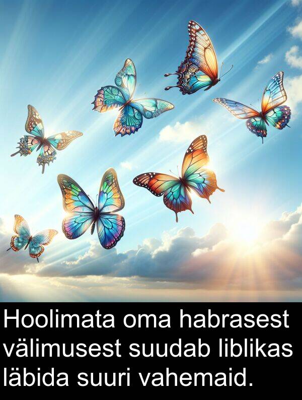 habrasest: Hoolimata oma habrasest välimusest suudab liblikas läbida suuri vahemaid.