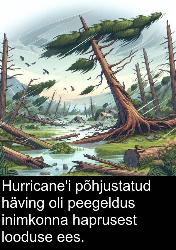 inimkonna: Hurricane'i põhjustatud häving oli peegeldus inimkonna haprusest looduse ees.