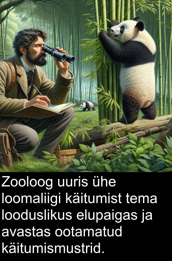 loomaliigi: Zooloog uuris ühe loomaliigi käitumist tema looduslikus elupaigas ja avastas ootamatud käitumismustrid.