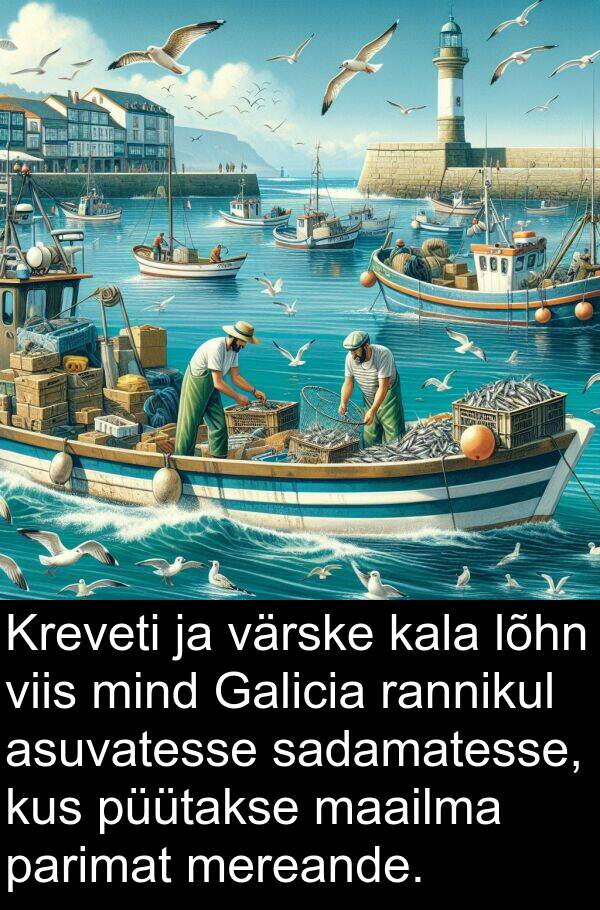lõhn: Kreveti ja värske kala lõhn viis mind Galicia rannikul asuvatesse sadamatesse, kus püütakse maailma parimat mereande.