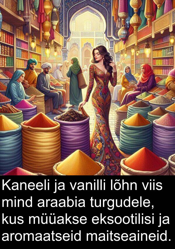 lõhn: Kaneeli ja vanilli lõhn viis mind araabia turgudele, kus müüakse eksootilisi ja aromaatseid maitseaineid.