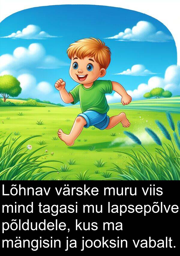 kus: Lõhnav värske muru viis mind tagasi mu lapsepõlve põldudele, kus ma mängisin ja jooksin vabalt.