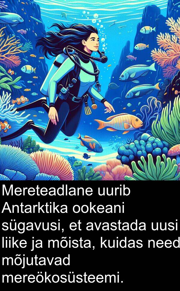 uurib: Mereteadlane uurib Antarktika ookeani sügavusi, et avastada uusi liike ja mõista, kuidas need mõjutavad mereökosüsteemi.