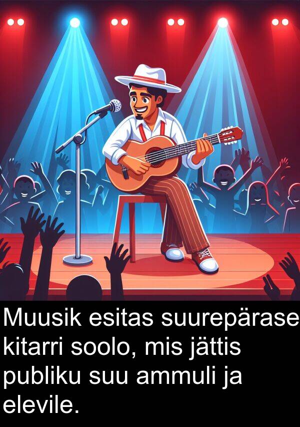 esitas: Muusik esitas suurepärase kitarri soolo, mis jättis publiku suu ammuli ja elevile.