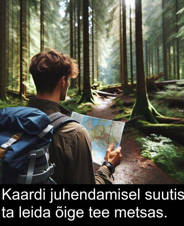 metsas: Kaardi juhendamisel suutis ta leida õige tee metsas.