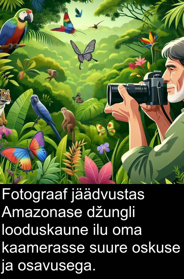 džungli: Fotograaf jäädvustas Amazonase džungli looduskaune ilu oma kaamerasse suure oskuse ja osavusega.