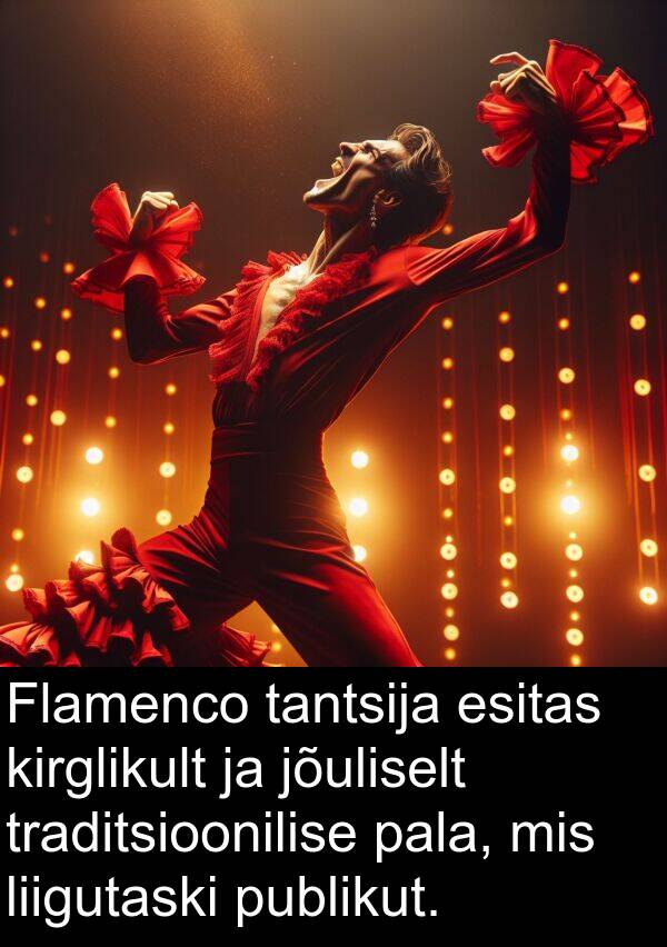 publikut: Flamenco tantsija esitas kirglikult ja jõuliselt traditsioonilise pala, mis liigutaski publikut.