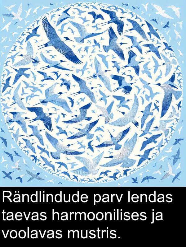 mustris: Rändlindude parv lendas taevas harmoonilises ja voolavas mustris.