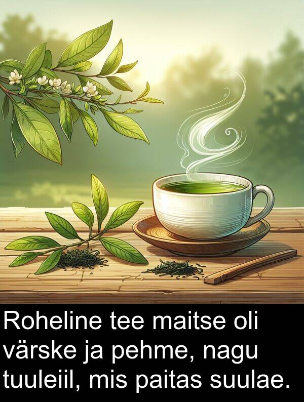 paitas: Roheline tee maitse oli värske ja pehme, nagu tuuleiil, mis paitas suulae.