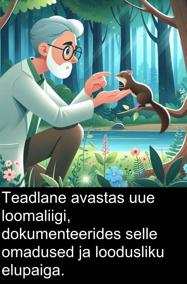 dokumenteerides: Teadlane avastas uue loomaliigi, dokumenteerides selle omadused ja loodusliku elupaiga.