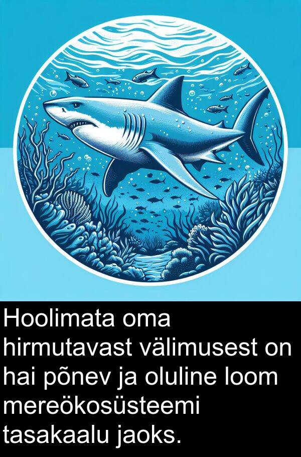 põnev: Hoolimata oma hirmutavast välimusest on hai põnev ja oluline loom mereökosüsteemi tasakaalu jaoks.