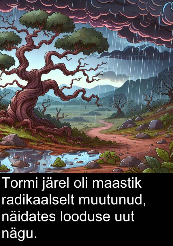 muutunud: Tormi järel oli maastik radikaalselt muutunud, näidates looduse uut nägu.