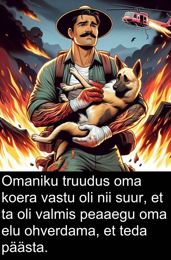 koera: Omaniku truudus oma koera vastu oli nii suur, et ta oli valmis peaaegu oma elu ohverdama, et teda päästa.