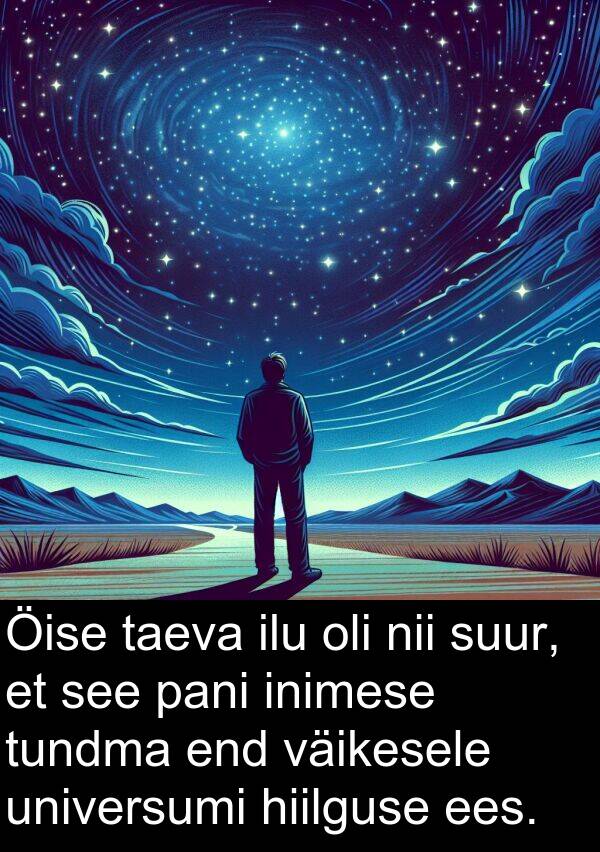 tundma: Öise taeva ilu oli nii suur, et see pani inimese tundma end väikesele universumi hiilguse ees.