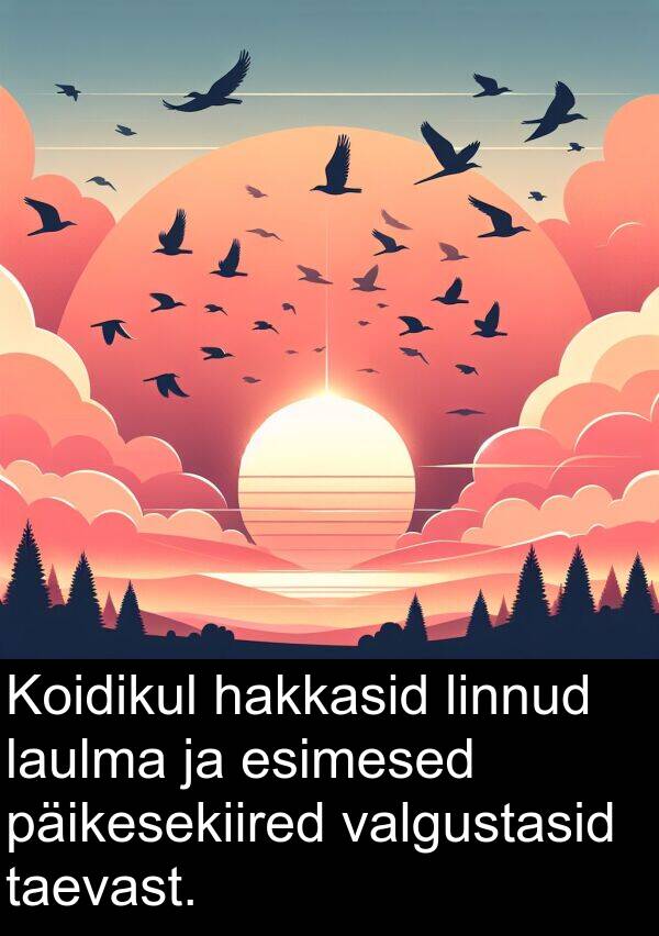 linnud: Koidikul hakkasid linnud laulma ja esimesed päikesekiired valgustasid taevast.