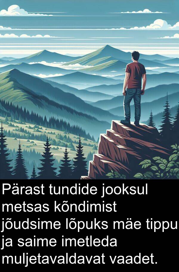tippu: Pärast tundide jooksul metsas kõndimist jõudsime lõpuks mäe tippu ja saime imetleda muljetavaldavat vaadet.