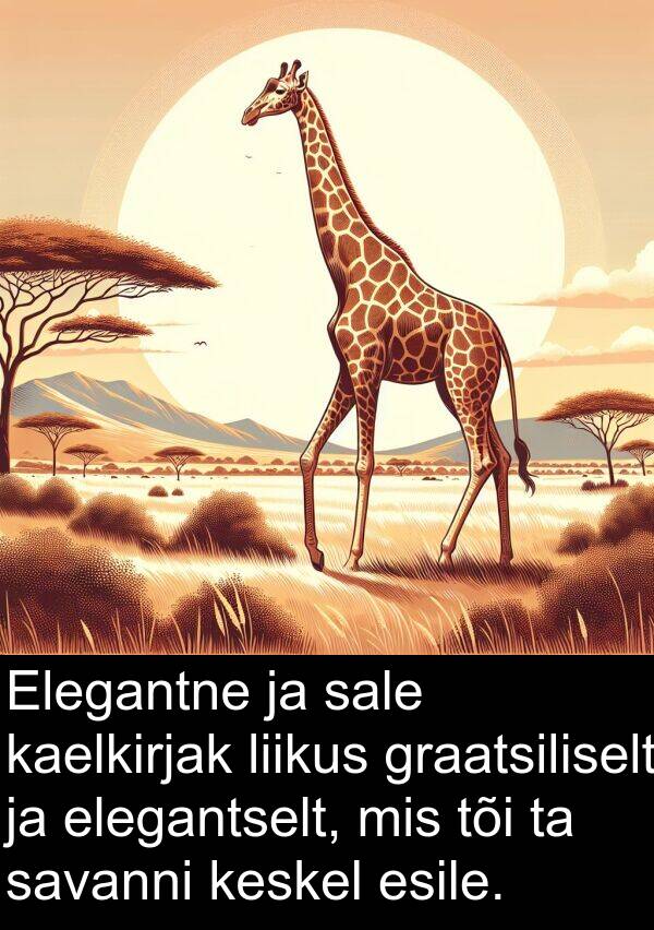 elegantselt: Elegantne ja sale kaelkirjak liikus graatsiliselt ja elegantselt, mis tõi ta savanni keskel esile.