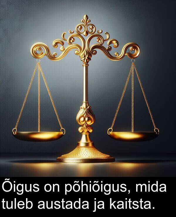 mida: Õigus on põhiõigus, mida tuleb austada ja kaitsta.