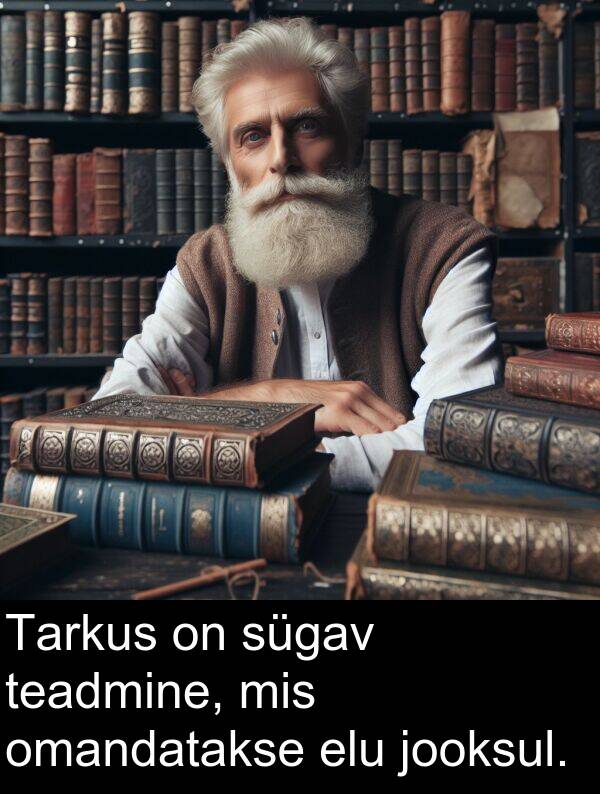 elu: Tarkus on sügav teadmine, mis omandatakse elu jooksul.