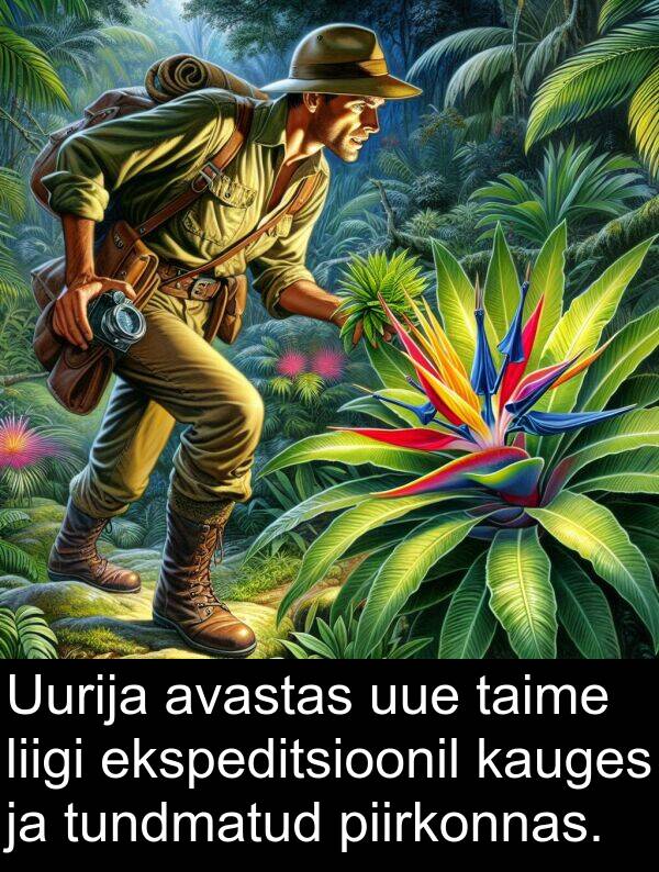 tundmatud: Uurija avastas uue taime liigi ekspeditsioonil kauges ja tundmatud piirkonnas.