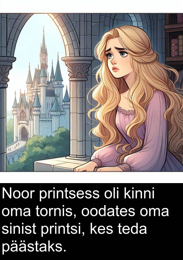 tornis: Noor printsess oli kinni oma tornis, oodates oma sinist printsi, kes teda päästaks.