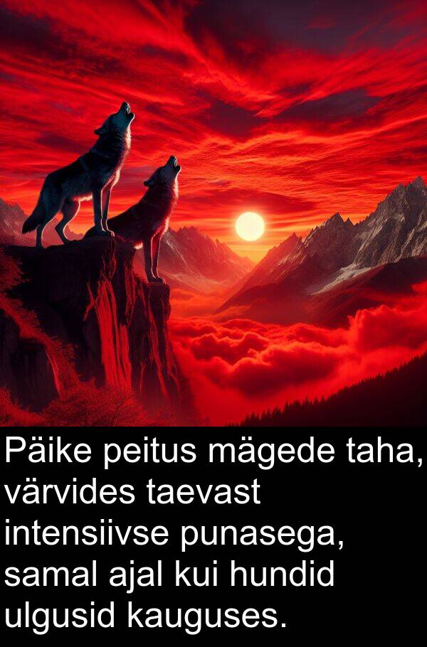 punasega: Päike peitus mägede taha, värvides taevast intensiivse punasega, samal ajal kui hundid ulgusid kauguses.