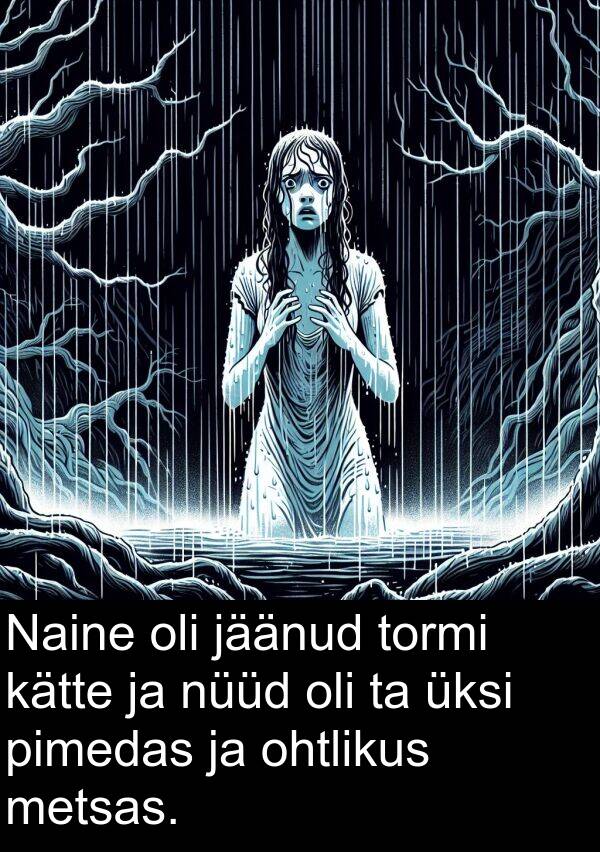 ohtlikus: Naine oli jäänud tormi kätte ja nüüd oli ta üksi pimedas ja ohtlikus metsas.