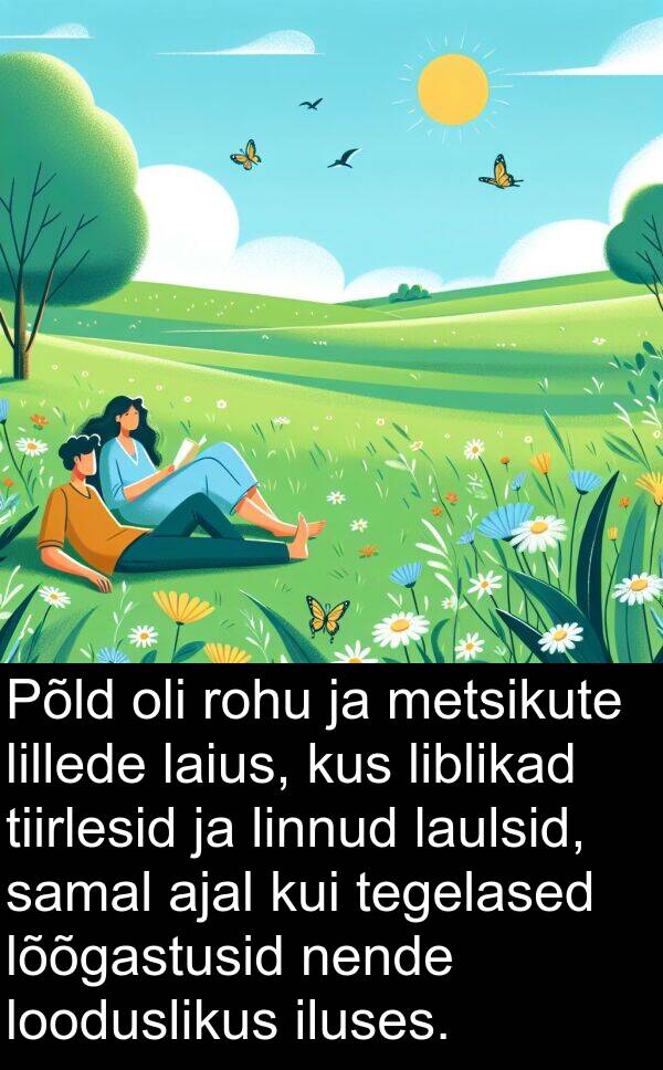 metsikute: Põld oli rohu ja metsikute lillede laius, kus liblikad tiirlesid ja linnud laulsid, samal ajal kui tegelased lõõgastusid nende looduslikus iluses.