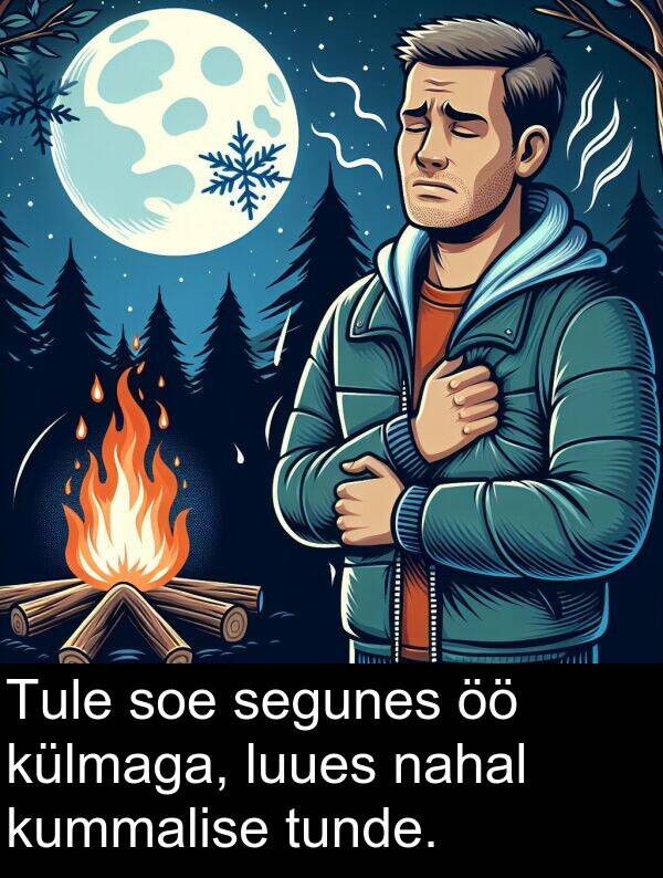 luues: Tule soe segunes öö külmaga, luues nahal kummalise tunde.