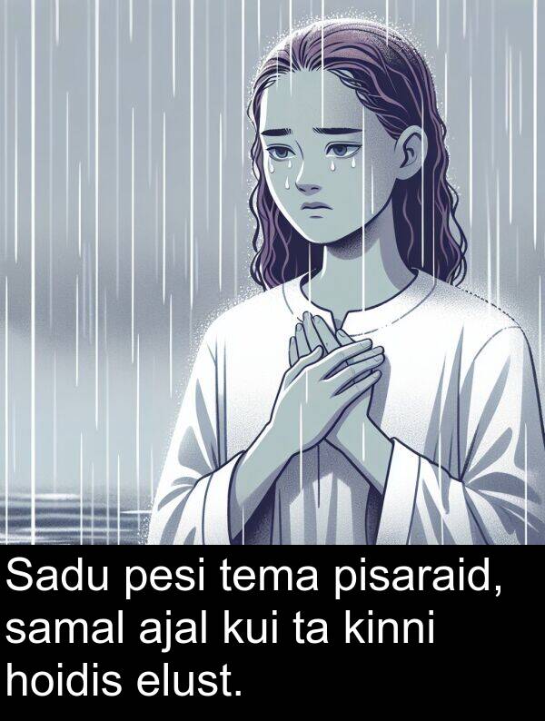 pisaraid: Sadu pesi tema pisaraid, samal ajal kui ta kinni hoidis elust.