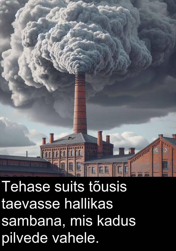 tõusis: Tehase suits tõusis taevasse hallikas sambana, mis kadus pilvede vahele.