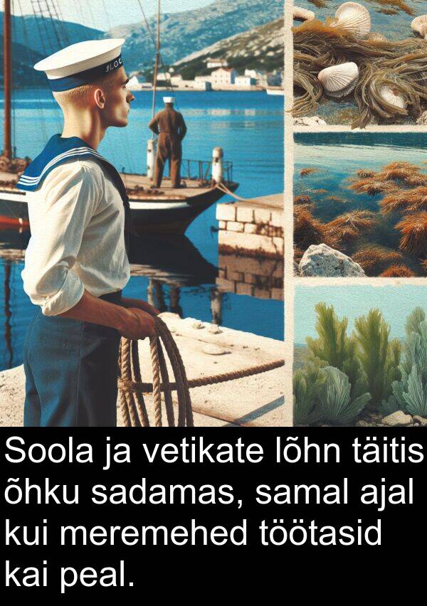 lõhn: Soola ja vetikate lõhn täitis õhku sadamas, samal ajal kui meremehed töötasid kai peal.