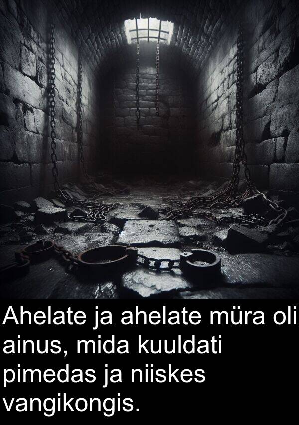 kuuldati: Ahelate ja ahelate müra oli ainus, mida kuuldati pimedas ja niiskes vangikongis.