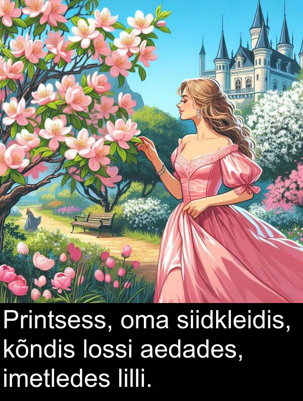 kõndis: Printsess, oma siidkleidis, kõndis lossi aedades, imetledes lilli.