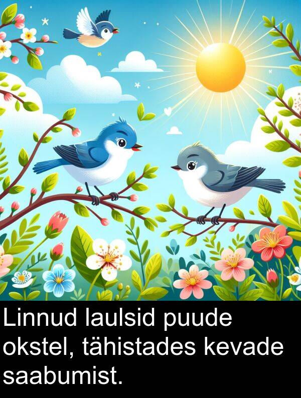 okstel: Linnud laulsid puude okstel, tähistades kevade saabumist.