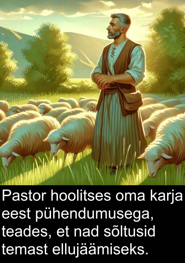 hoolitses: Pastor hoolitses oma karja eest pühendumusega, teades, et nad sõltusid temast ellujäämiseks.