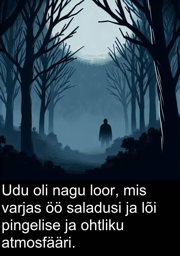 loor: Udu oli nagu loor, mis varjas öö saladusi ja lõi pingelise ja ohtliku atmosfääri.