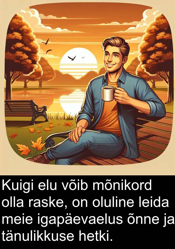 mõnikord: Kuigi elu võib mõnikord olla raske, on oluline leida meie igapäevaelus õnne ja tänulikkuse hetki.