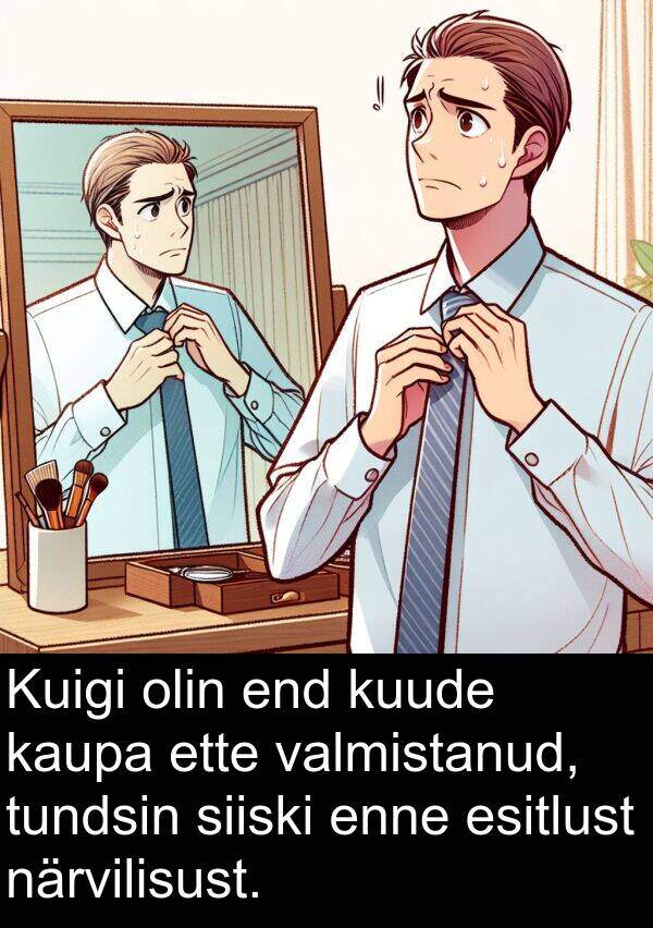 ette: Kuigi olin end kuude kaupa ette valmistanud, tundsin siiski enne esitlust närvilisust.