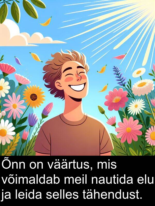 väärtus: Õnn on väärtus, mis võimaldab meil nautida elu ja leida selles tähendust.