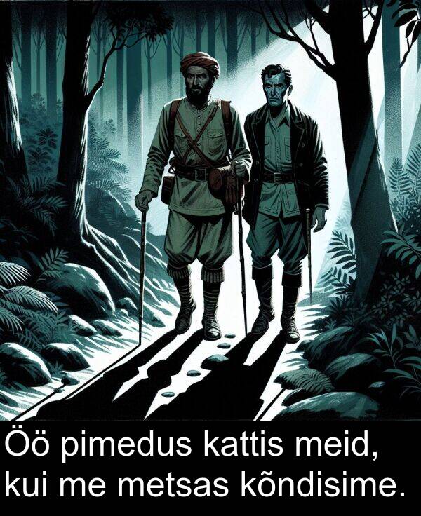 kõndisime: Öö pimedus kattis meid, kui me metsas kõndisime.
