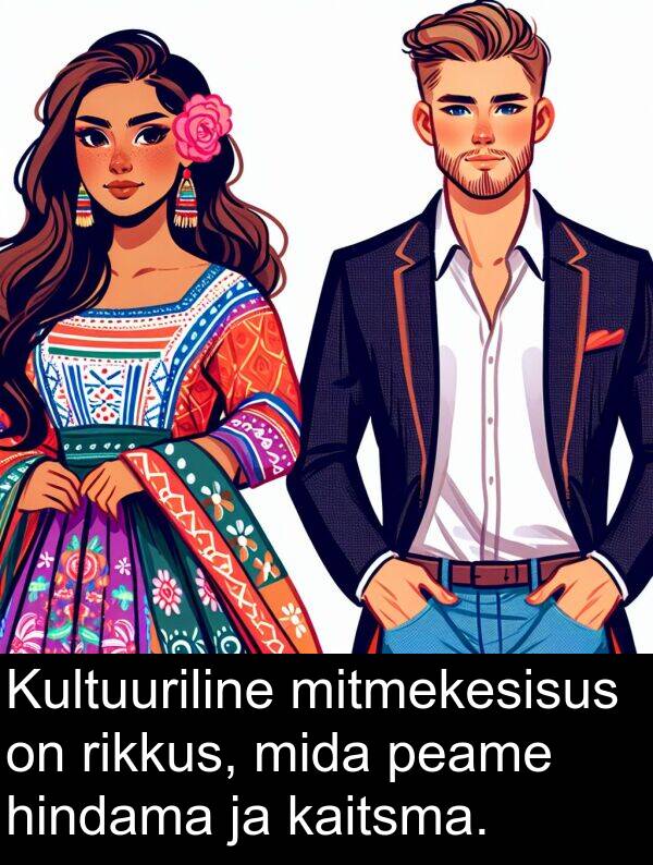 hindama: Kultuuriline mitmekesisus on rikkus, mida peame hindama ja kaitsma.
