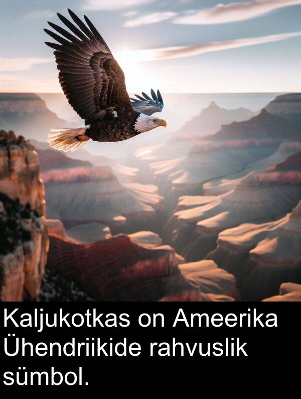 sümbol: Kaljukotkas on Ameerika Ühendriikide rahvuslik sümbol.