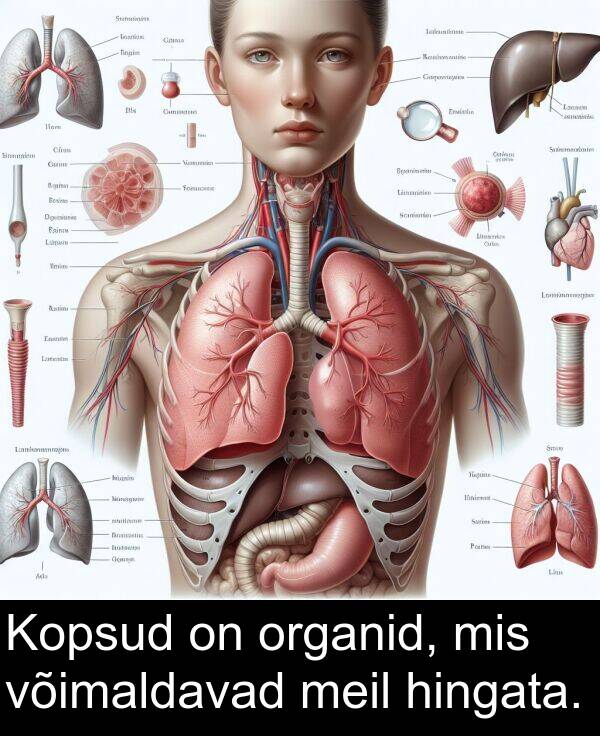 mis: Kopsud on organid, mis võimaldavad meil hingata.