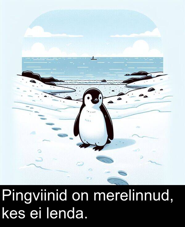merelinnud: Pingviinid on merelinnud, kes ei lenda.