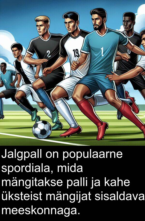 mängijat: Jalgpall on populaarne spordiala, mida mängitakse palli ja kahe üksteist mängijat sisaldava meeskonnaga.