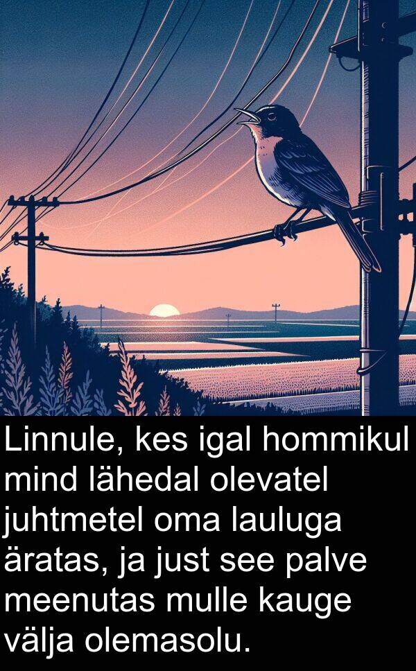 hommikul: Linnule, kes igal hommikul mind lähedal olevatel juhtmetel oma lauluga äratas, ja just see palve meenutas mulle kauge välja olemasolu.