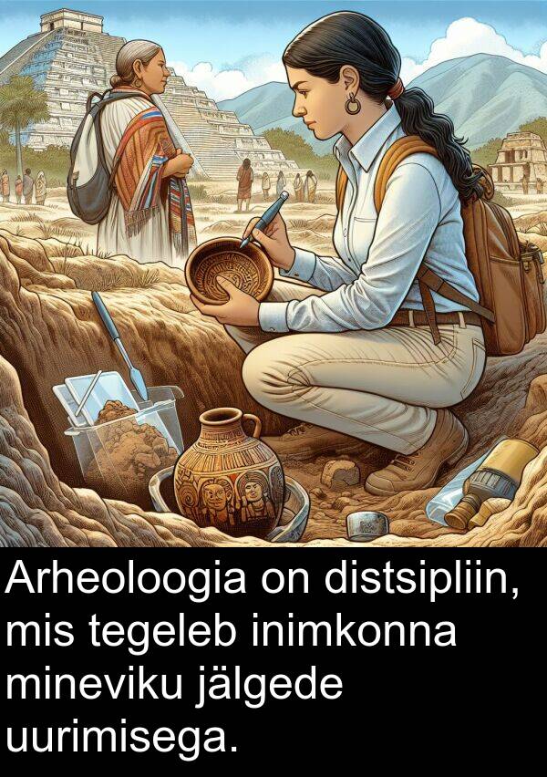 distsipliin: Arheoloogia on distsipliin, mis tegeleb inimkonna mineviku jälgede uurimisega.